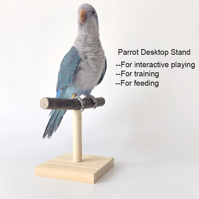 Desk Setup Wood - Natural Desktop Stand Pet Parrot Raw
