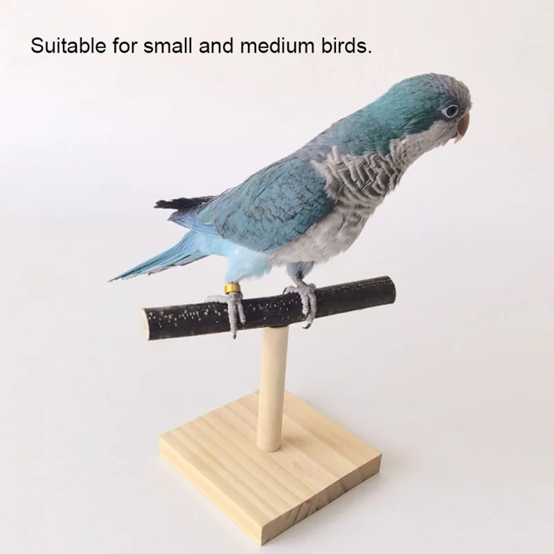 Natural Desktop Stand Pet Parr - Desk Setup Wood ulasan dan harga