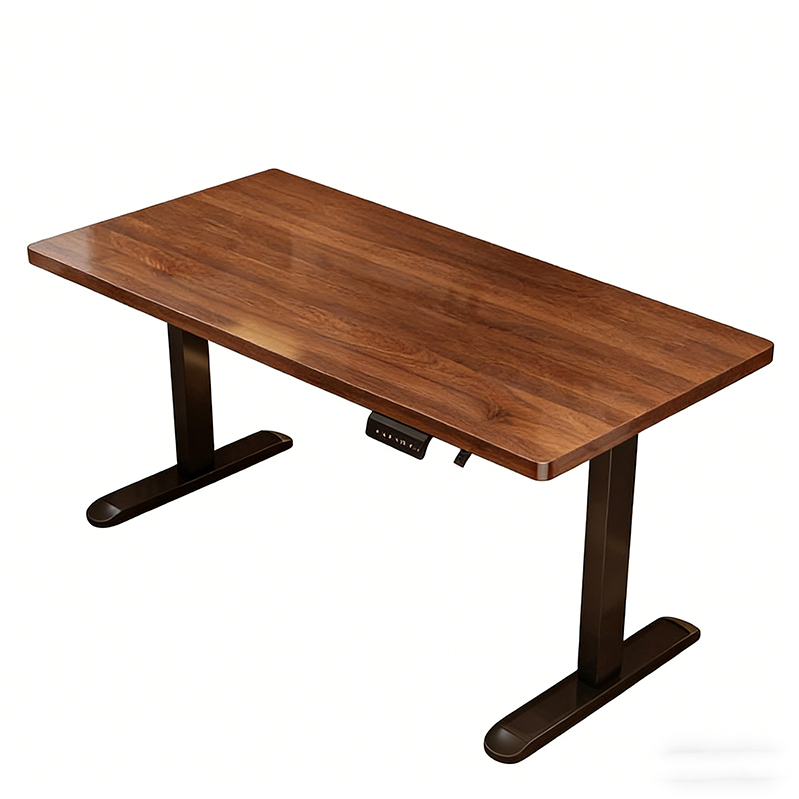 Modern Iron Dual Motor Electri - Desk Setup Ergonomics ulasan dan harga